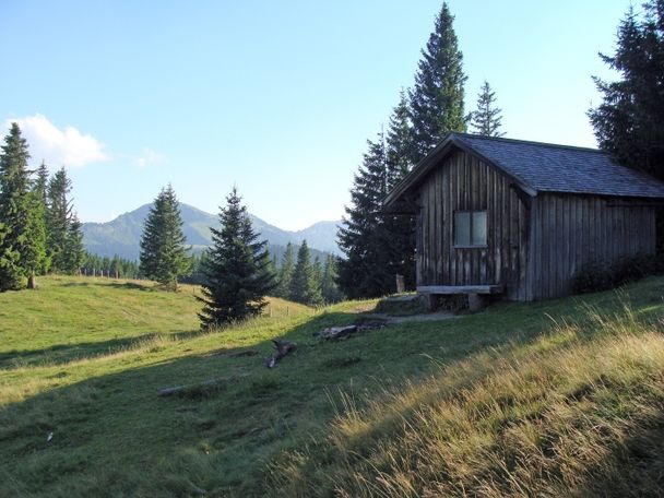 Vom Alpsee übers Immenstädter Horn – Die ganze Vielfalt des Naturparks