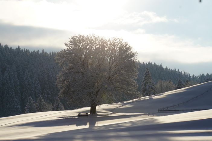 Winterlandschaft