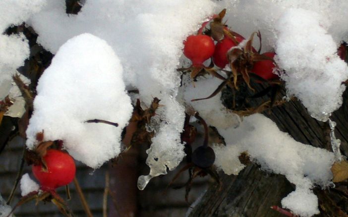 der Winter kündigt sich an - Heidis Ferienwohnung