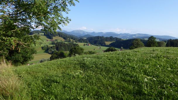 Blick zur Nagelfluhkette