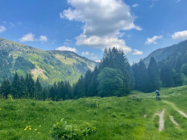 Schöner Wiesentrail durchs Leckner Tal