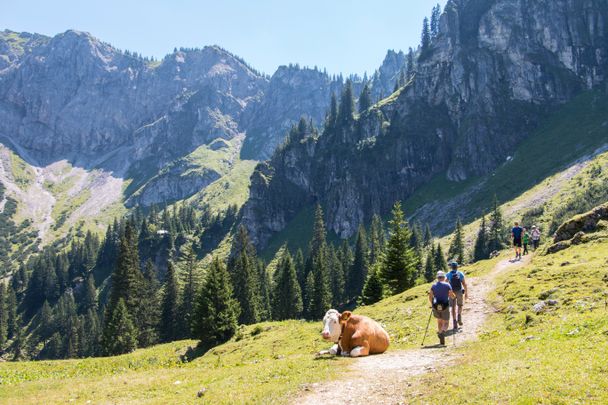 Bergtour auf den Aggenstein