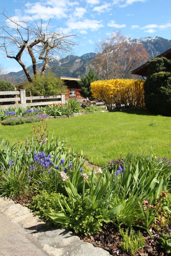 unser Garten im Frühling Blick Tegelberg