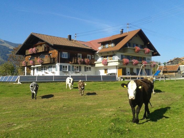 Alpen-Glühen  1