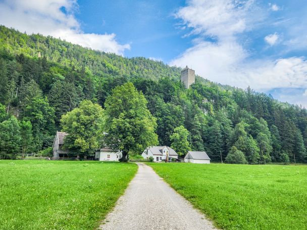 Blick auf die Burgruine Vilsegg