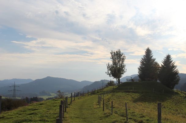 Aussicht vom Roderbühl