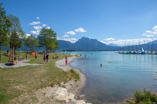 Halbinsel am Forggensee im Sommer