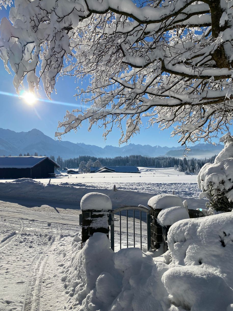 Hausauffahrt im Winter