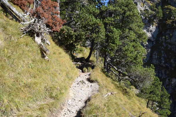 Schmaler Pfad am Marienbrücken-Wanderweg