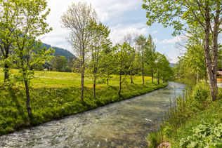 Tannheim         Foto: TVB Tannheimer Tal/Achim Meurer