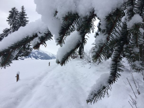 Kurzer Pfad durch den Schnee zur Wittelsbacher Höhe bei Schweineberg