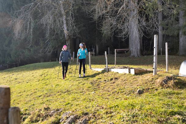 Nordic Walking im Frühling