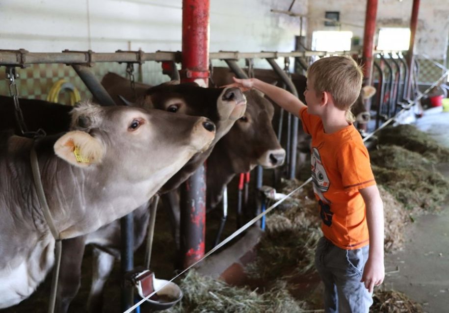 Landwirtschaft Hautnah erleben