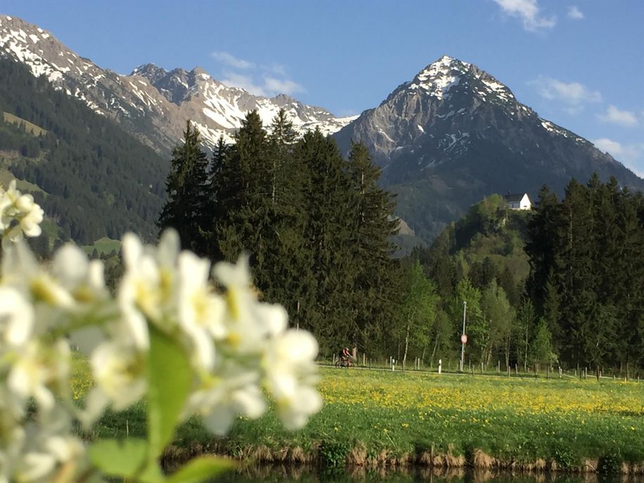 Rubihorn im Frühling