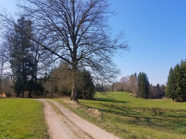 Feldwege mit abwechslungsreichen Ausblicken