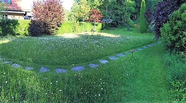 Garten im Frühling