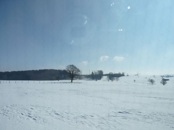 Winterlandschaft an der Loipe Durach (1)