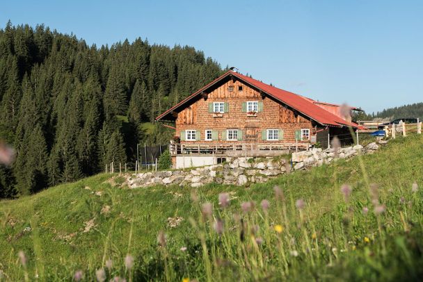 Freiburger Alpe mit Sonnenterrasse und Kinderspiel