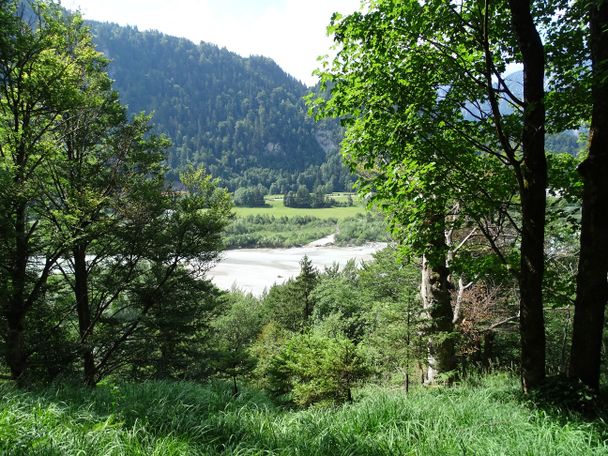 Blick vom Schwärzerweg auf den Lech