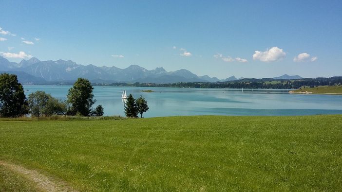 Forggensee, Blick nach Füssen und die Bergkulisse