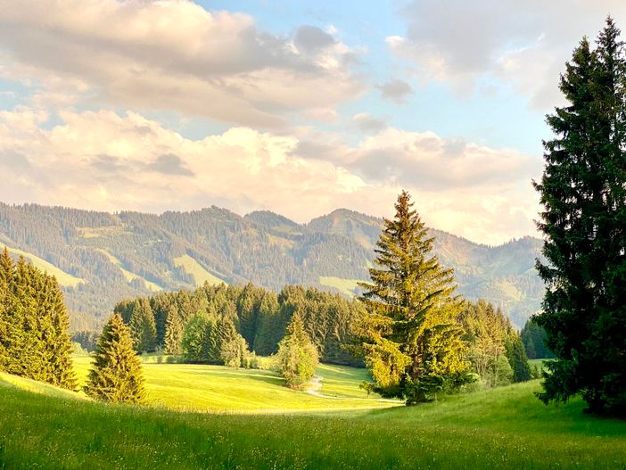 Landschaft bei Hofen