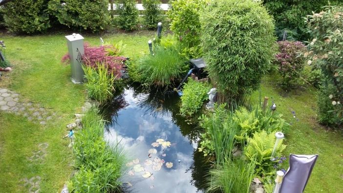 Unser Garten mit Teich im Sommer