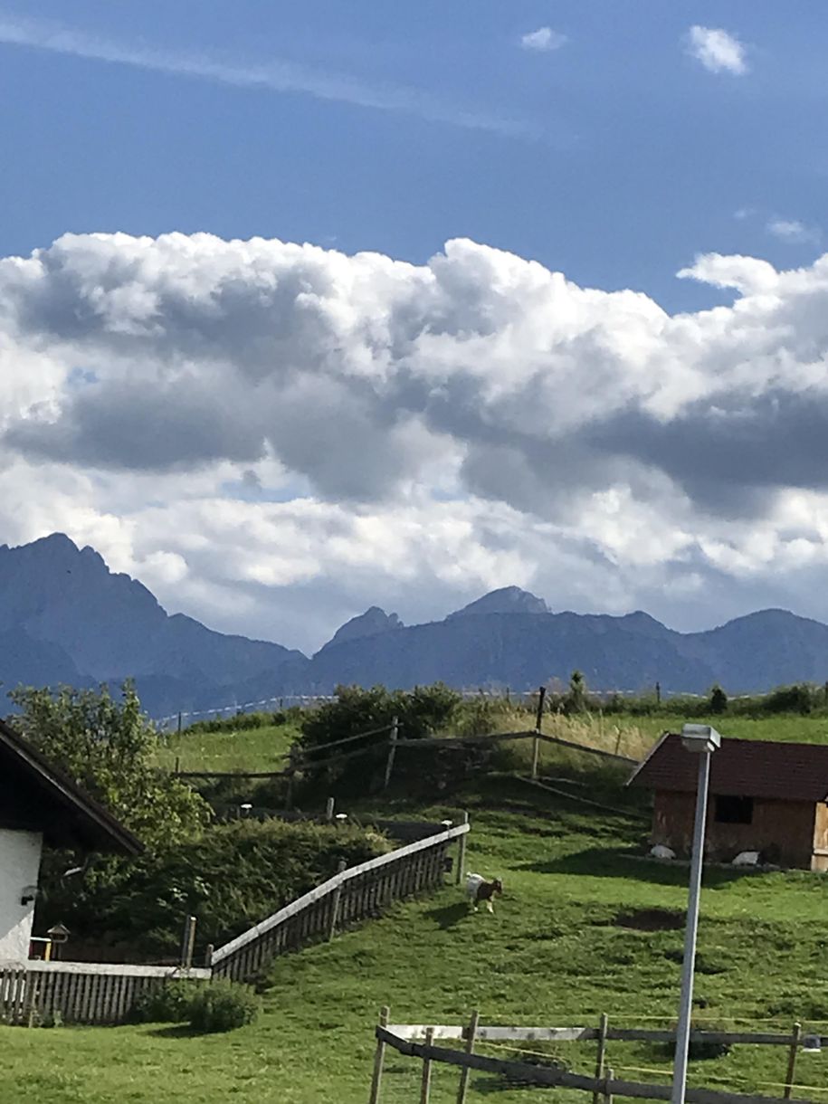 Ausblick vom Balkon