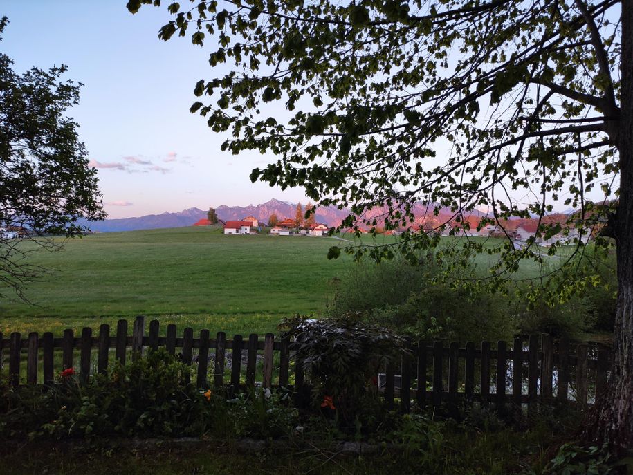 Sommerabend im Garten