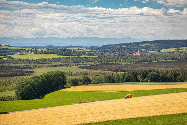 Bei guter Sicht reicht der Blick bis zu den Alpen