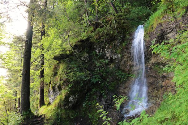 Rundwanderweg um den Weißensee