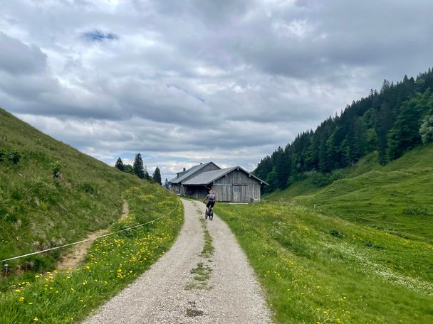 Kurz vor der Alpe Scheidwang