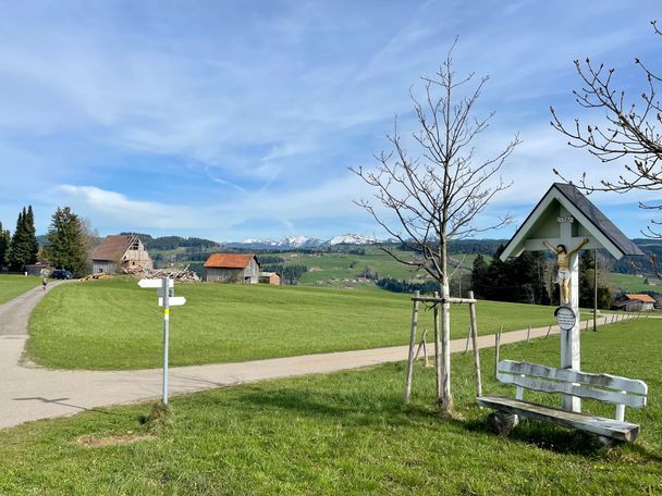 Bei Bremenried mit Blick auf die Nagelfluhkette