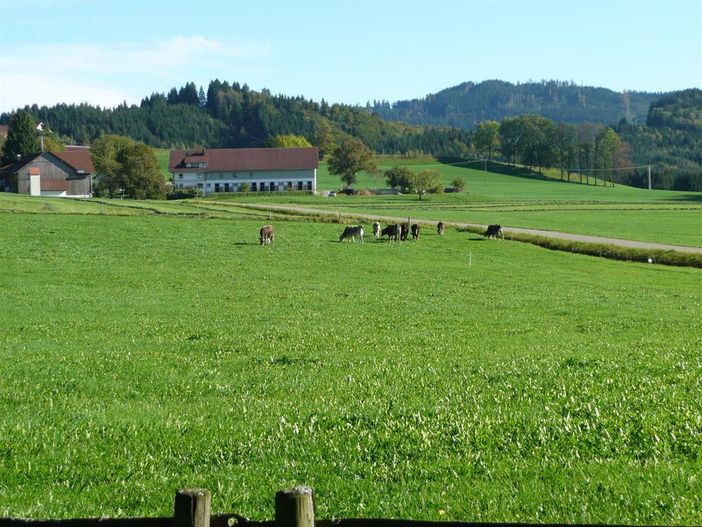 Aussicht nach Süden