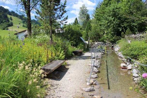 Kneippbecken im Alpengarten