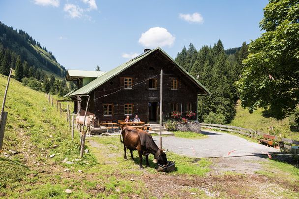 Herzberg Alpe - Obermaiselstein