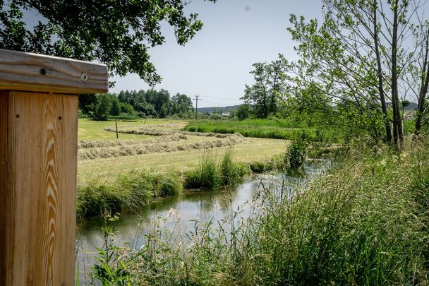 Bachlauf_bei_Ziemetshausen