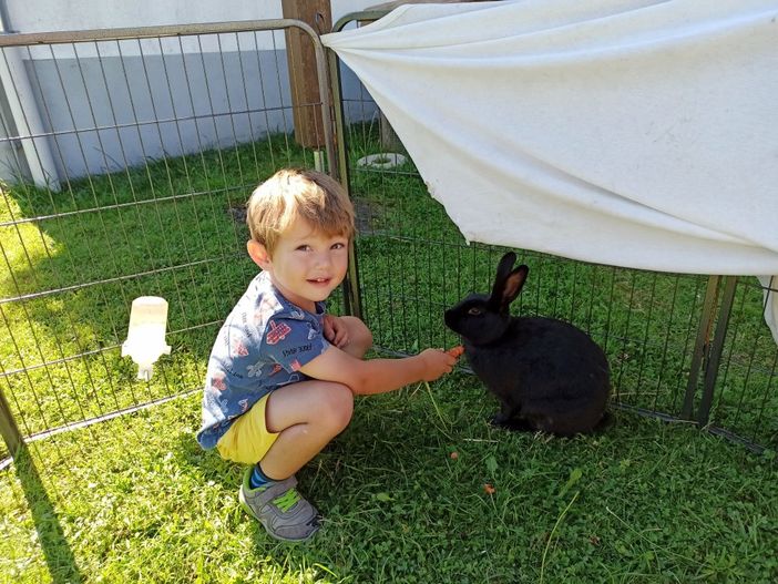 Kaninchen füttern