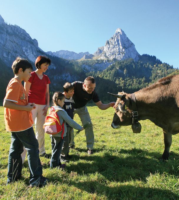 Familie Küh und im Hintergrund der markante Geistelstein