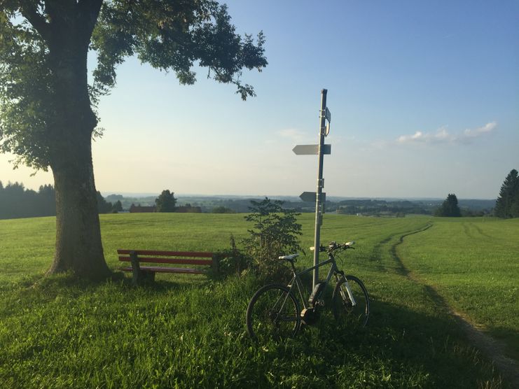 Tobelrandweg bei Ellhofen