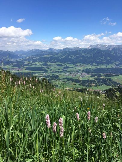 Hörner Panorama Tour - Rundwanderung ab Bolsterlang oder Ofterschwang