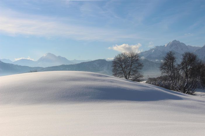 Stögerhof - Wintermärchen