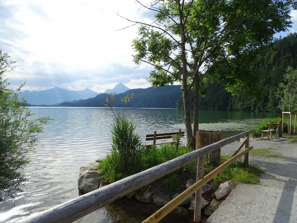 Ausblick auf den Weißensee vom Rundweg aus