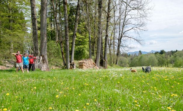 3D Erlebnis Bogenparcours im Tal in Bolsterlang