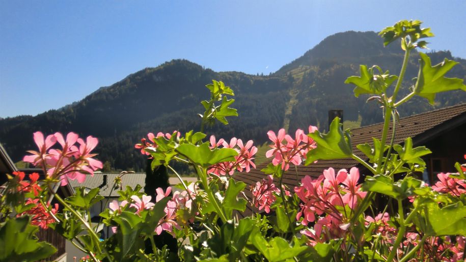 Blick vom Balkon