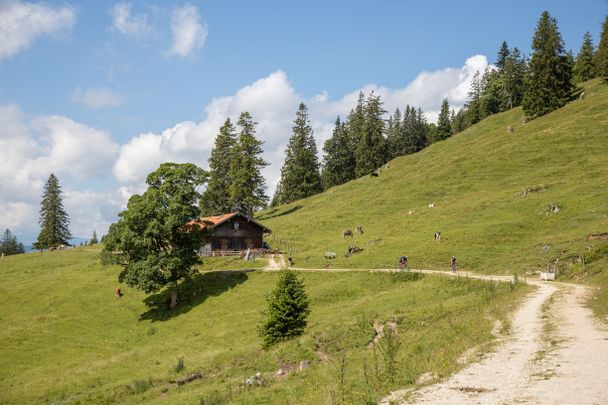 Die Bärenmoosalpe am Kienberg