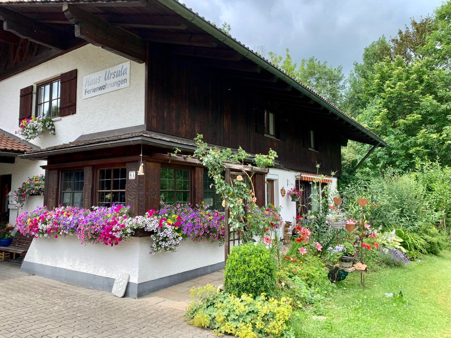 Haus Ursula in Sommerblüte