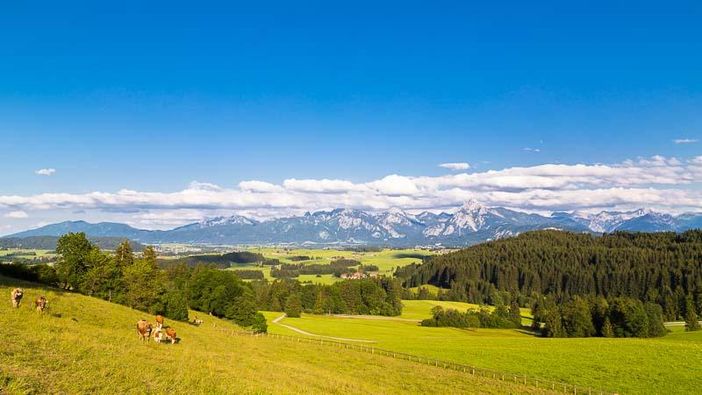 Blick von der Schloßbergalm  bei Zell