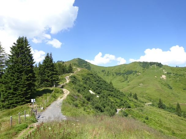 Wanderweg zum Riedbergerhorn