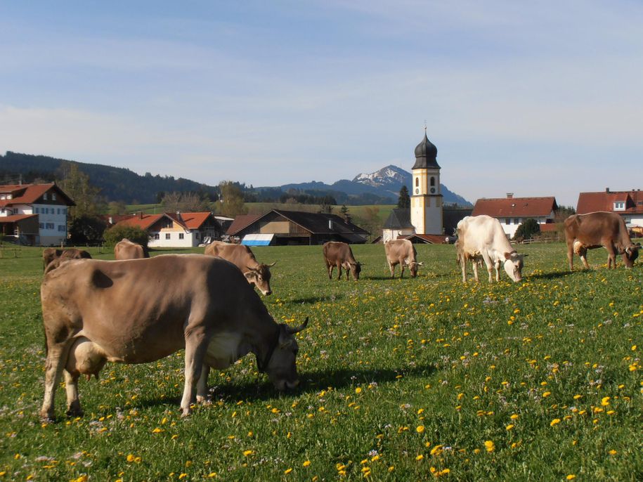 Ländliches Petersthal