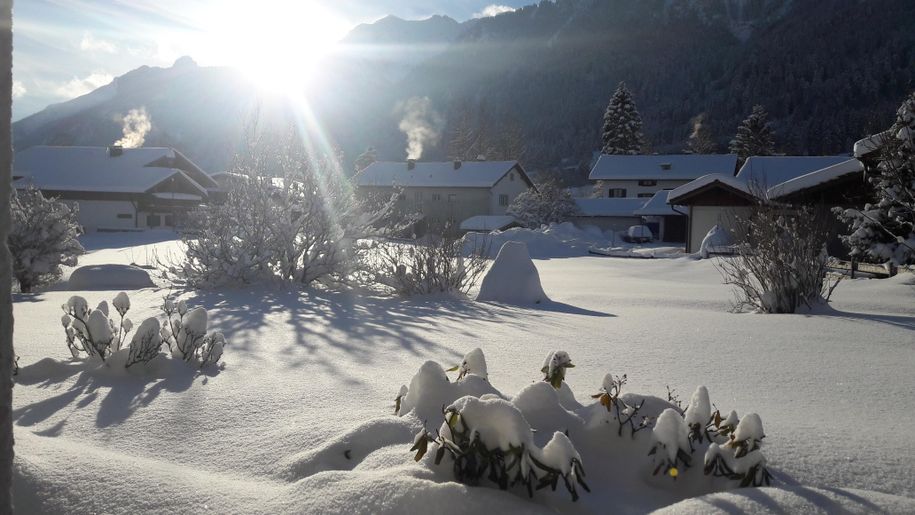 Ausblick Eule und Schwalbe im Winter